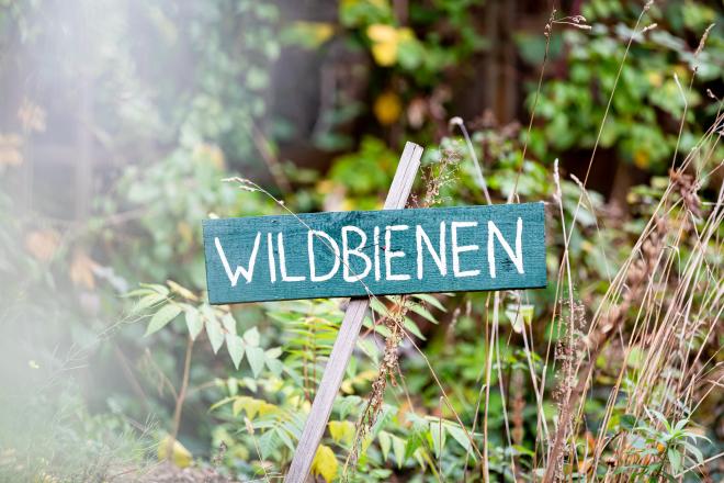 Schild mit der Aufschrift 'Wildbienen'