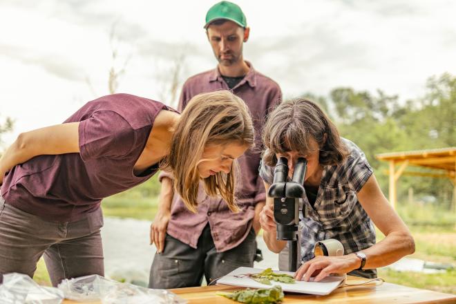 Teilnehmer*innen der Tiny Farm Academy untersuchen Pflanzen unter dem Mikroskop