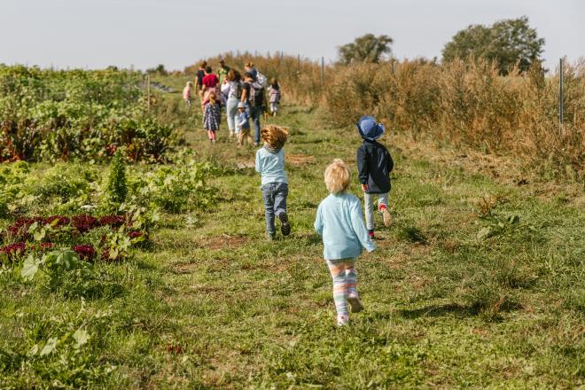 Kinder laufen bei ihrem Besuch einer Tiny Farm über die Wiese