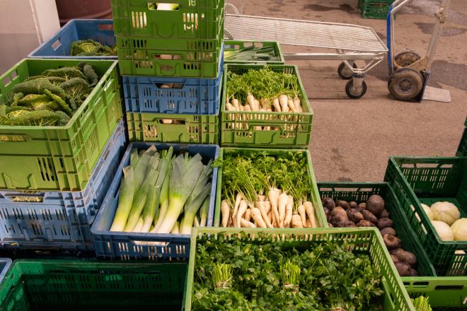 Aufnahme des regionalen Angebots im Großmarkt