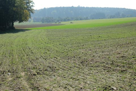 Landwirtschaftliche Flächen