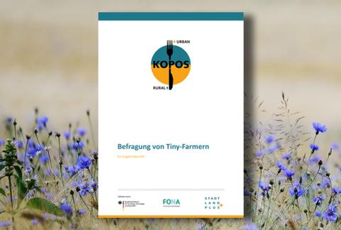 Titelseite des Berichts